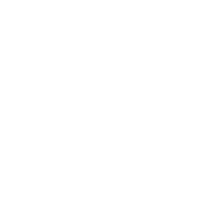 Everlane logo
